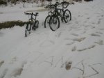 DSCN2848.jpg