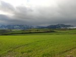 DSCN2835.jpg