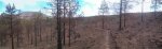 Panorama 11_tauro.JPG