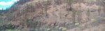 Panorama 14_tauro.JPG