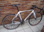 colnago.jpg