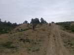 Imagen010.jpg