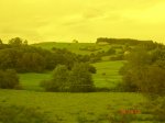 DSC07369.JPG