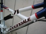 cannondale 003.jpg
