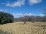 Imagen055.jpg