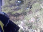 Imagen066.jpg