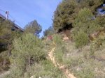 Imagen071.jpg