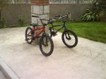 DSC01027.jpg