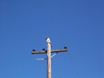 100_4745.jpg