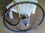 fotos bici 016.jpg
