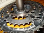 DSC01087.JPG