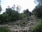 DSCN3681.jpg
