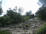 DSCN3686.jpg