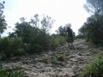 DSCN3687.jpg