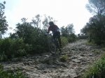 DSCN3688.jpg