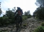 DSCN3689.jpg
