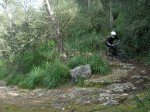 DSCN3702.jpg