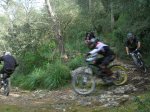 DSCN3706.jpg