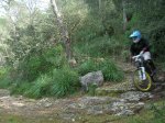 DSCN3711.jpg