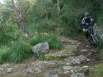 DSCN3714.jpg