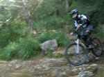 DSCN3715.jpg