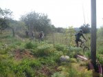 MTB 2008-03-29 Santa Gertrudis-07.jpg