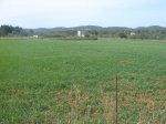 MTB 2008-03-29 Santa Gertrudis-11.jpg
