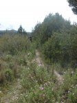 MTB 2008-03-29 Santa Gertrudis-13.jpg