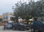 MTB 2008-03-29 Santa Gertrudis-18.jpg