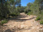 pista.JPG