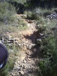DSC00054.jpg