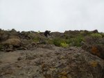 DSCN2090.JPG