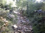 Foto0210.jpg