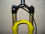 DSC01100.jpg