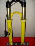 DSC01102.jpg