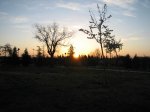 Pinares de Boadilla 001.jpg