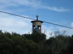 Pinares de Boadilla 005.jpg