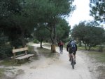 Pinares de Boadilla 009.jpg