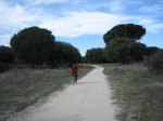 Pinares de Boadilla 011.jpg