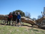 Pinares de Boadilla 020.jpg