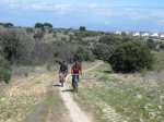 Pinares de Boadilla 021.jpg