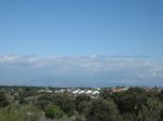 Pinares de Boadilla 024.jpg