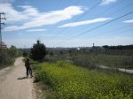 Pinares de Boadilla 025.jpg