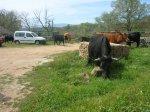 DSCN4318 [Resolucion de Escritorio].JPG