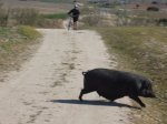 MTB Soto ViÃ±uelas 30Mar08 (10) [1024x768].JPG