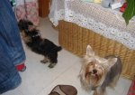 DSCF1073.JPG