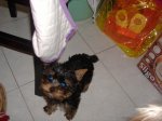 DSCF1065.JPG