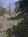 29032008621.jpg