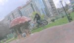120509657940832[1].jpg