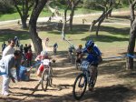 130_3082 (Small).JPG